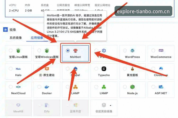 4个避坑技巧：TB CN官网登录使用指南的实用手册